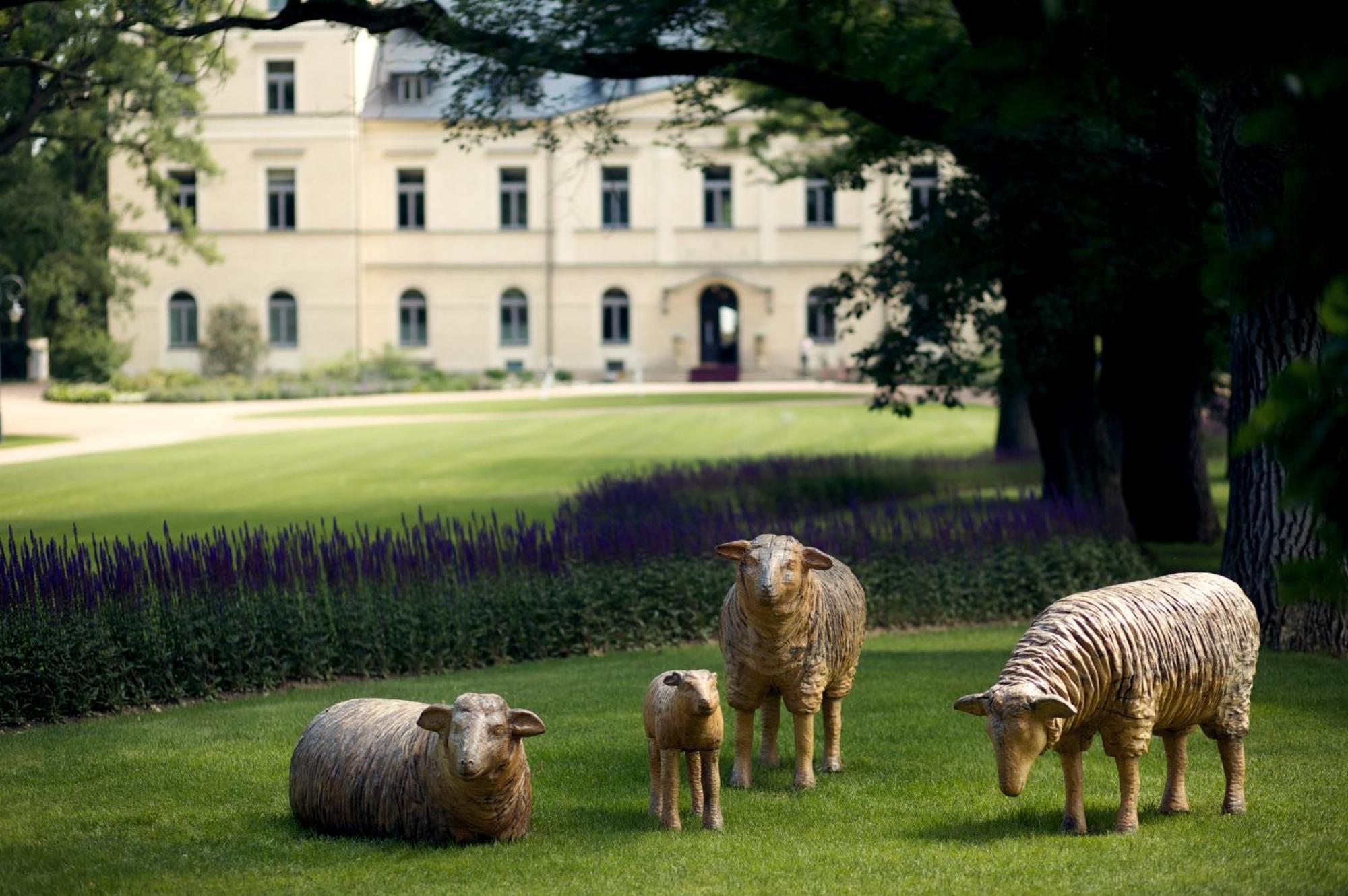 Chateau Mcely Esterno foto