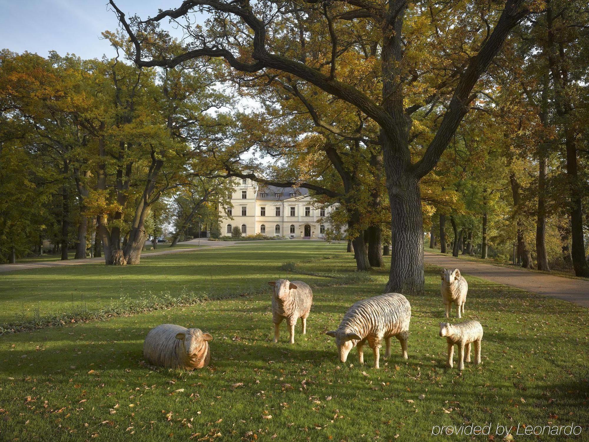 Chateau Mcely Esterno foto